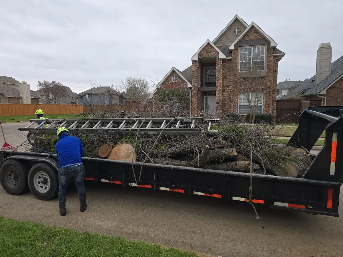 Expert Lot Clearing with proper safety equipment in La Russell